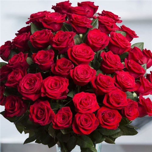 red-roses-50-set-compressor-n5oucgj8yzgm0fcs1j2el4wxysgxatrjyhwsk99vtk